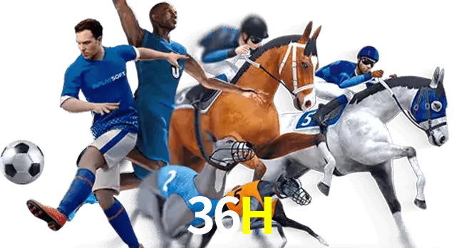 36H